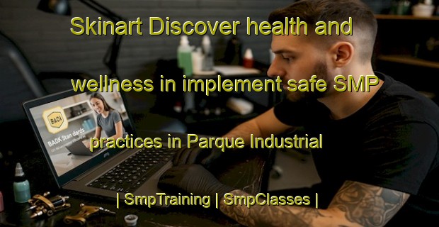 Skinart Discover health and wellness in implement safe SMP practices in Parque Industrial | SmpTraining | SmpClasses | SkinartTraining-Mexico